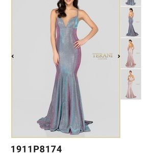 Terani Couture prom/pageant dress